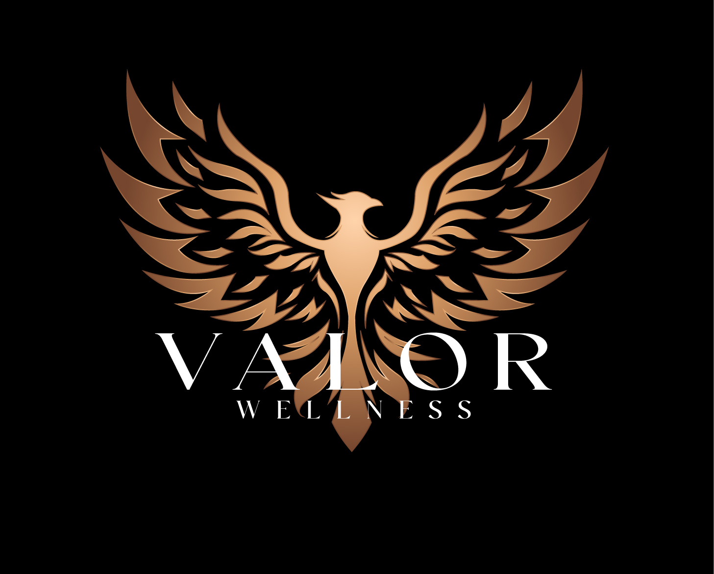 Veterans For Healing